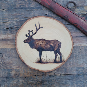 Elk