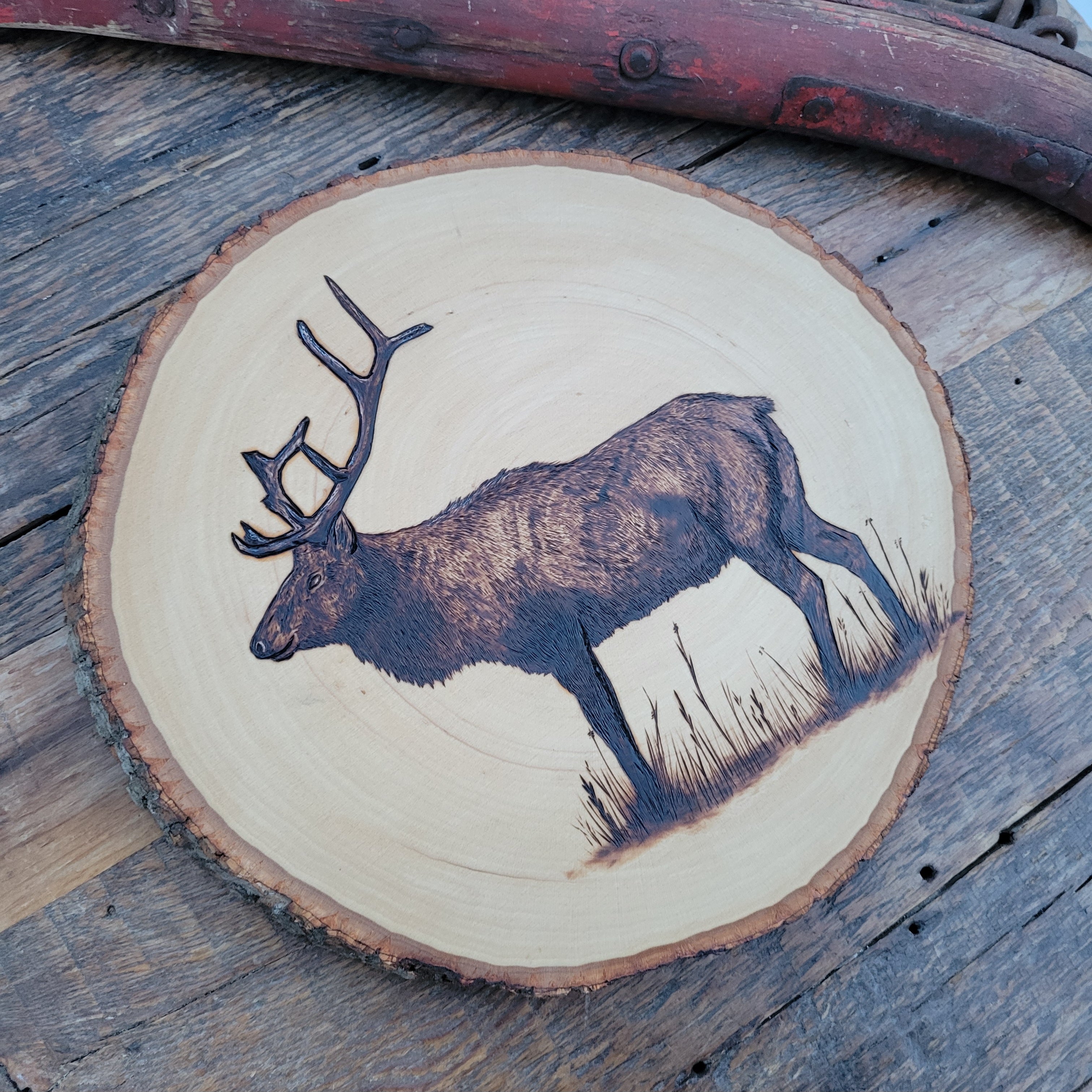 Elk