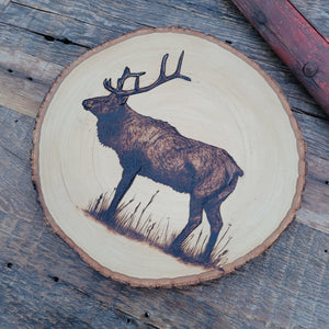 Elk