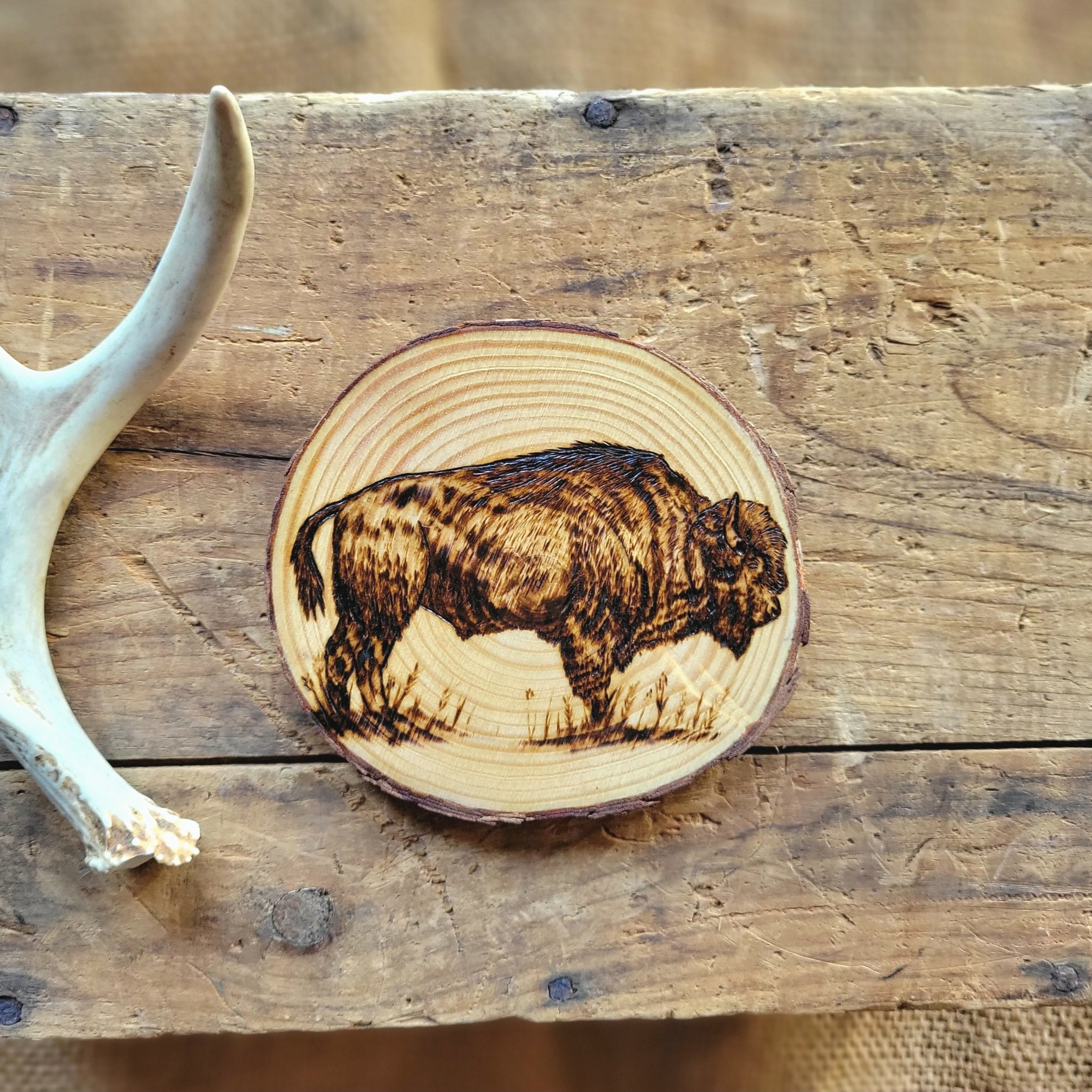 Buffalo Magnet