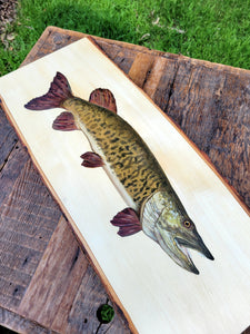 Barred Musky