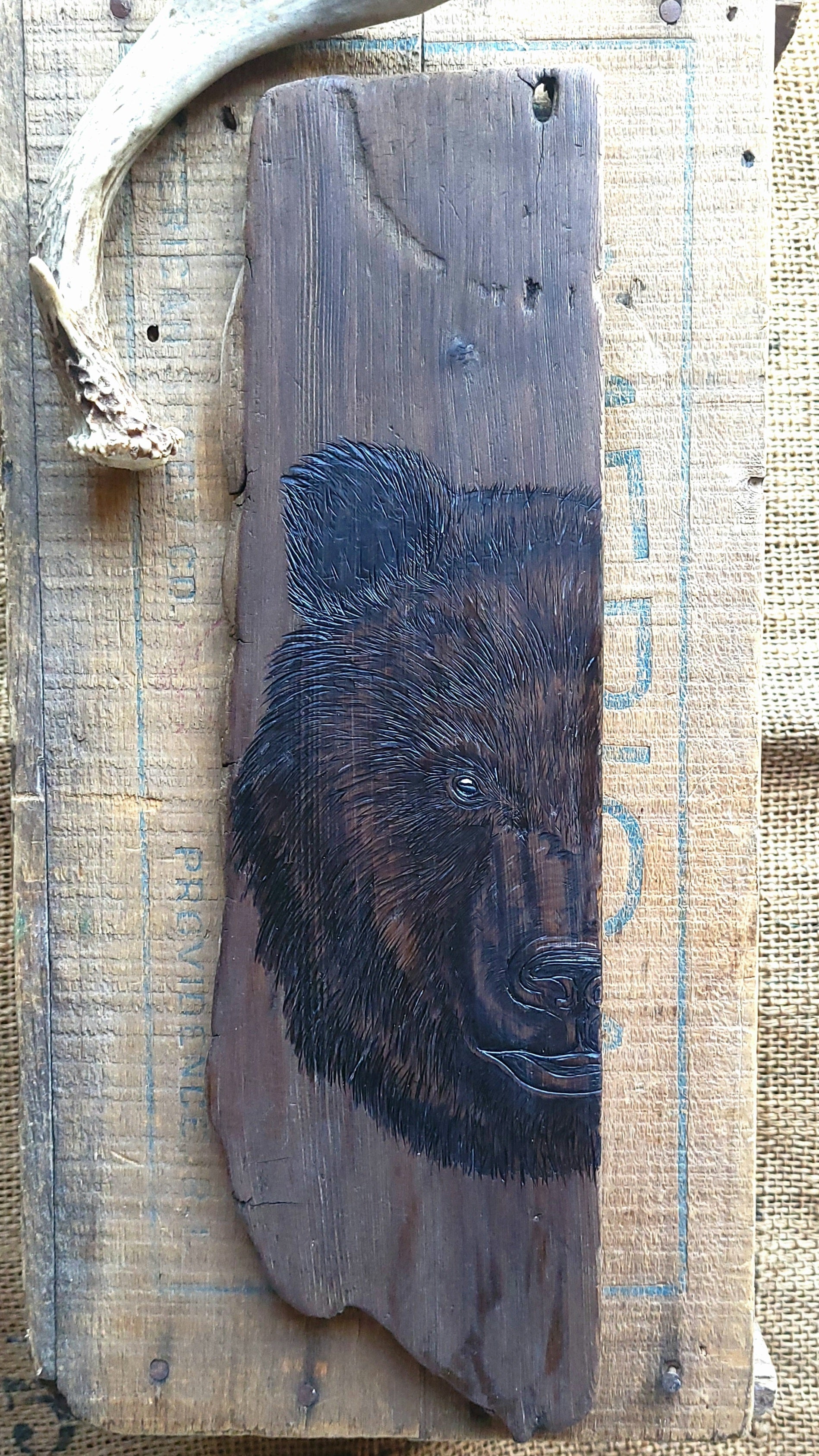 Driftwood bear